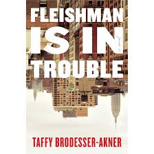 Fleishman Is In Trouble